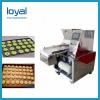 Fully Automatic Biscuit Production Line