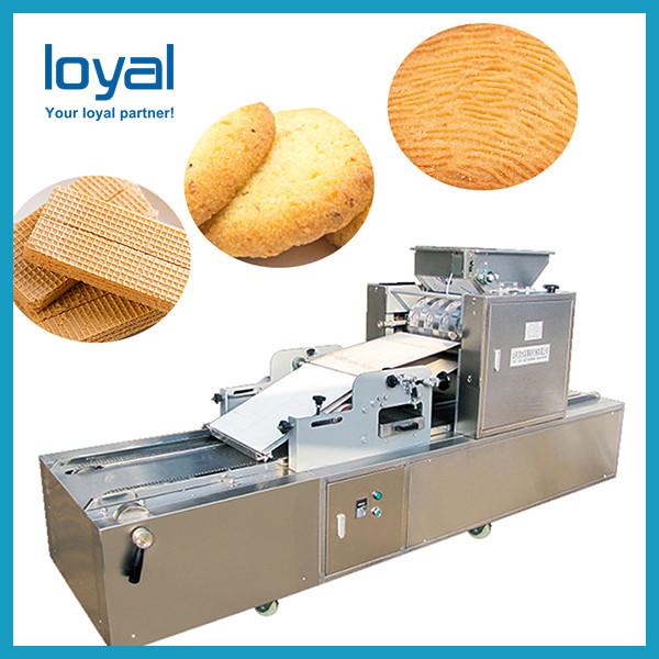 Bread Cake Toast Biscuit Production Line Bread Baking Tunnel Oven